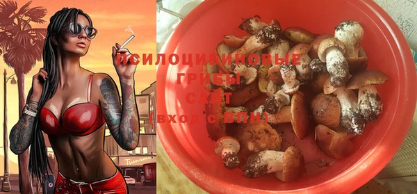 а пвп мука Армянск