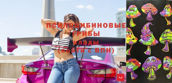 а пвп мука Армянск